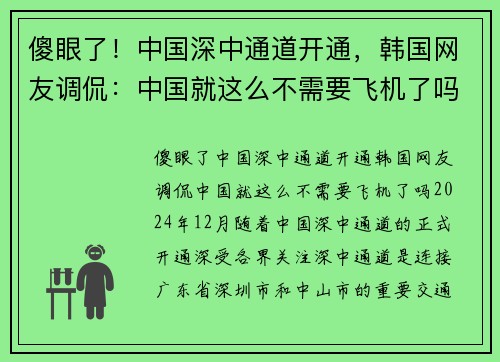 傻眼了！中国深中通道开通，韩国网友调侃：中国就这么不需要飞机了吗？